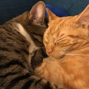 Meet your Posher, Katelyn